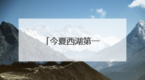 今夏西湖第一朵荷花开啦，比去年早5天