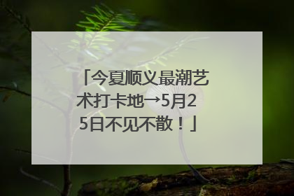 今夏顺义最潮艺术打卡地→5月25日不见不散！
