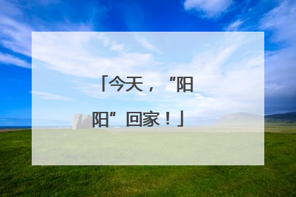 今天，“阳阳”回家！
