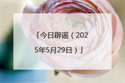 今日辟谣（2025年5月29日）