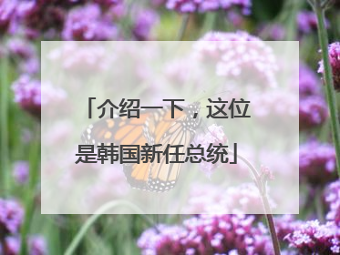 介绍一下，这位是韩国新任总统