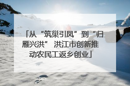 从“筑巢引凤”到“归雁兴洪” 洪江市创新推动农民工返乡创业