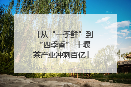 从“一季鲜”到“四季香” 十堰茶产业冲刺百亿