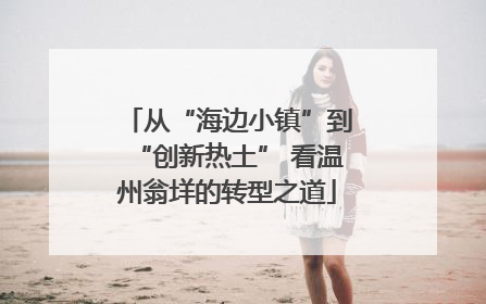 从“海边小镇”到“创新热土” 看温州翁垟的转型之道