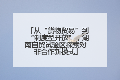 从“货物贸易”到“制度型开放”，湖南自贸试验区探索对非合作新模式