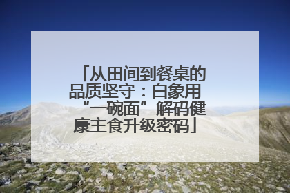 从田间到餐桌的品质坚守：白象用“一碗面”解码健康主食升级密码