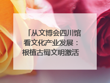 从文博会四川馆看文化产业发展：根植古蜀文明激活创新基因｜文博向“新”