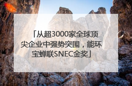 从超3000家全球顶尖企业中强势突围，能环宝蝉联SNEC金奖