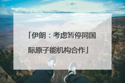 伊朗：考虑暂停同国际原子能机构合作