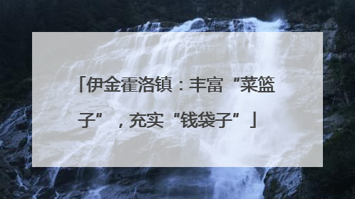 伊金霍洛镇：丰富“菜篮子”，充实“钱袋子”