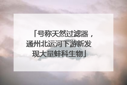 号称天然过滤器，通州北运河下游新发现大量蚌科生物