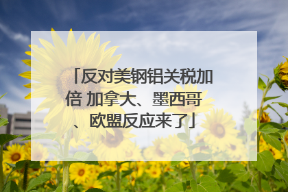 反对美钢铝关税加倍 加拿大、墨西哥、欧盟反应来了
