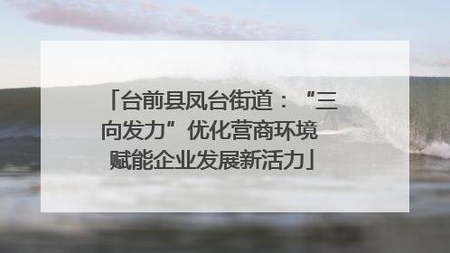 台前县凤台街道：“三向发力”优化营商环境 赋能企业发展新活力