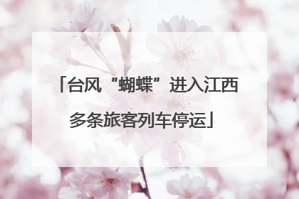 台风“蝴蝶”进入江西 多条旅客列车停运