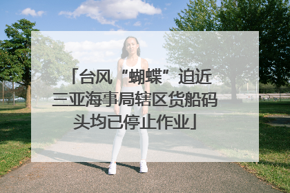 台风“蝴蝶”迫近 三亚海事局辖区货船码头均已停止作业