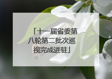 十一届省委第八轮第二批次巡视完成进驻