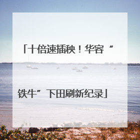 十倍速插秧！华容“铁牛”下田刷新纪录