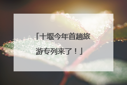 十堰今年首趟旅游专列来了！