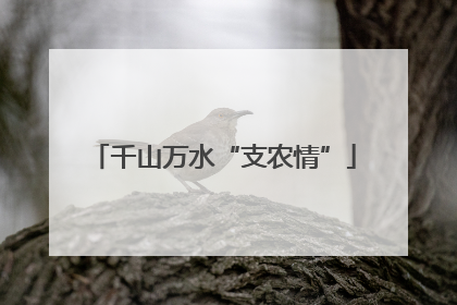 千山万水“支农情”