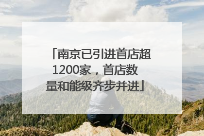 南京已引进首店超1200家，首店数量和能级齐步并进