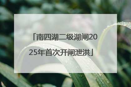 南四湖二级湖闸2025年首次开闸泄洪