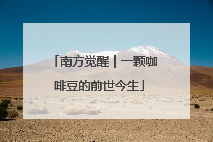 南方觉醒｜一颗咖啡豆的前世今生
