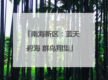 南海新区：蓝天碧海 群鸟翔集