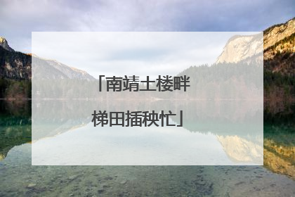 南靖土楼畔 梯田插秧忙