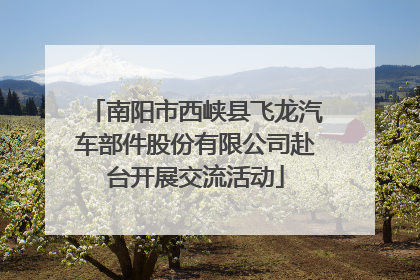南阳市西峡县飞龙汽车部件股份有限公司赴台开展交流活动