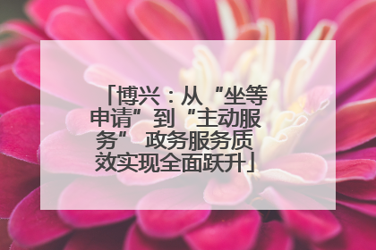 博兴：从“坐等申请”到“主动服务” 政务服务质效实现全面跃升