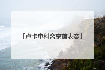 卢卡申科离京前表态