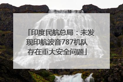 印度民航总局：未发现印航波音787机队存在重大安全问题