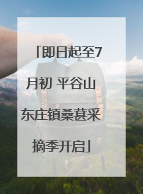 即日起至7月初 平谷山东庄镇桑葚采摘季开启