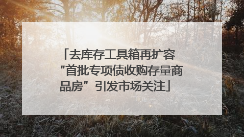去库存工具箱再扩容 “首批专项债收购存量商品房”引发市场关注