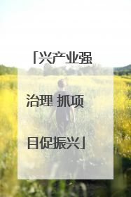 兴产业强治理 抓项目促振兴