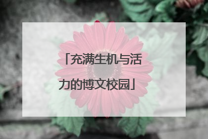 充满生机与活力的博文校园