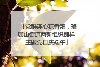 党群连心粽香浓，珞珈山街道两新组织别样主题党日庆端午