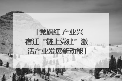 党旗红 产业兴 宿迁“链上党建”激活产业发展新动能