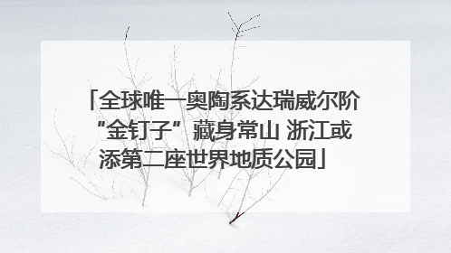 全球唯一奥陶系达瑞威尔阶“金钉子”藏身常山 浙江或添第二座世界地质公园