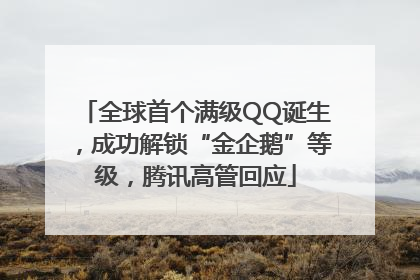 全球首个满级QQ诞生，成功解锁“金企鹅”等级，腾讯高管回应