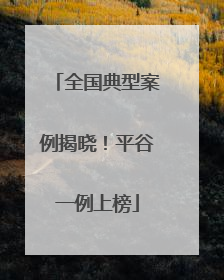 全国典型案例揭晓！平谷一例上榜
