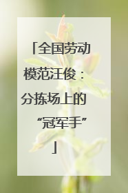 全国劳动模范汪俊：分拣场上的“冠军手”
