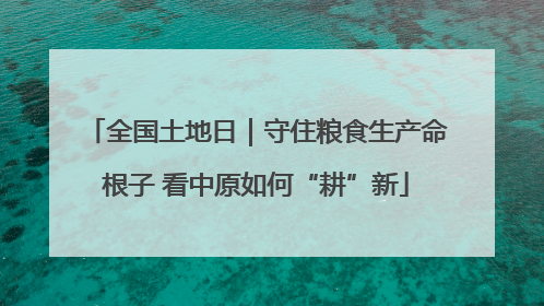 全国土地日｜守住粮食生产命根子 看中原如何“耕”新
