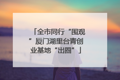 全市同行“围观”厦门湖里台青创业基地“出圈”