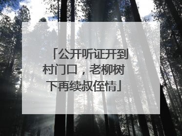 公开听证开到村门口，老柳树下再续叔侄情