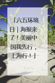 六五环境日｜海报来了！美丽中国我先行，上海行！