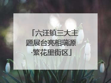 六汪镇三大主题展台亮相瑞源·繁花里街区