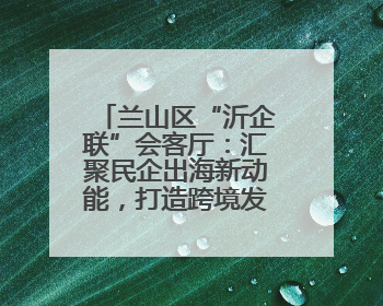 兰山区“沂企联”会客厅：汇聚民企出海新动能，打造跨境发展“强磁场”