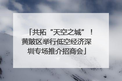 共拓“天空之城”！黄陂区举行低空经济深圳专场推介招商会