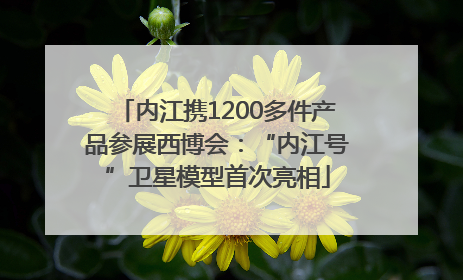 内江携1200多件产品参展西博会：“内江号”卫星模型首次亮相